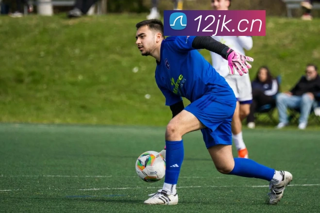 开云网页版登录入口手机版服务体系